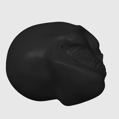 Mô hình đầu lâu (Skull) trang trí