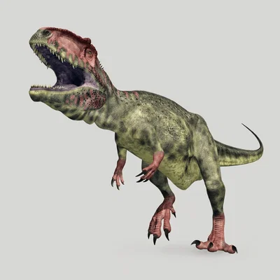 Mô hình 3D Giganotosaurus: Tái hiện loài khủng long khổng lồ đầy uy lực