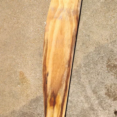 Khiên lưới Gungan (Gungan Shield) cho trò chơi mô phỏng