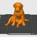Mô hình chú chó Tobey ngồi thư giãn - File in 3D trang trí độc đáo - Thumbnail 2