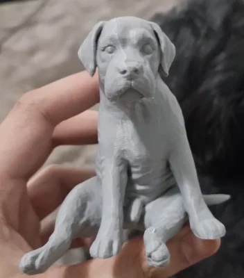 Mô hình chú chó Tobey ngồi thư giãn - File in 3D trang trí độc đáo - Image 3