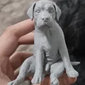 Mô hình chú chó Tobey ngồi thư giãn - File in 3D trang trí độc đáo - Thumbnail 3