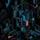Ramen_3d_4571944