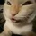 PaulONeill_1862337