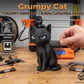 Grumpy Cat – Thành viên cáu kỉnh trong series "Grumpy Animals" - Thumbnail 1