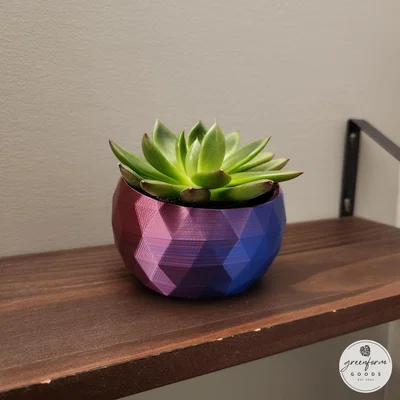 Chậu Trồng Cây Succulent Hình Học Nghiêng (Geometric Tilted Succulent Planter)