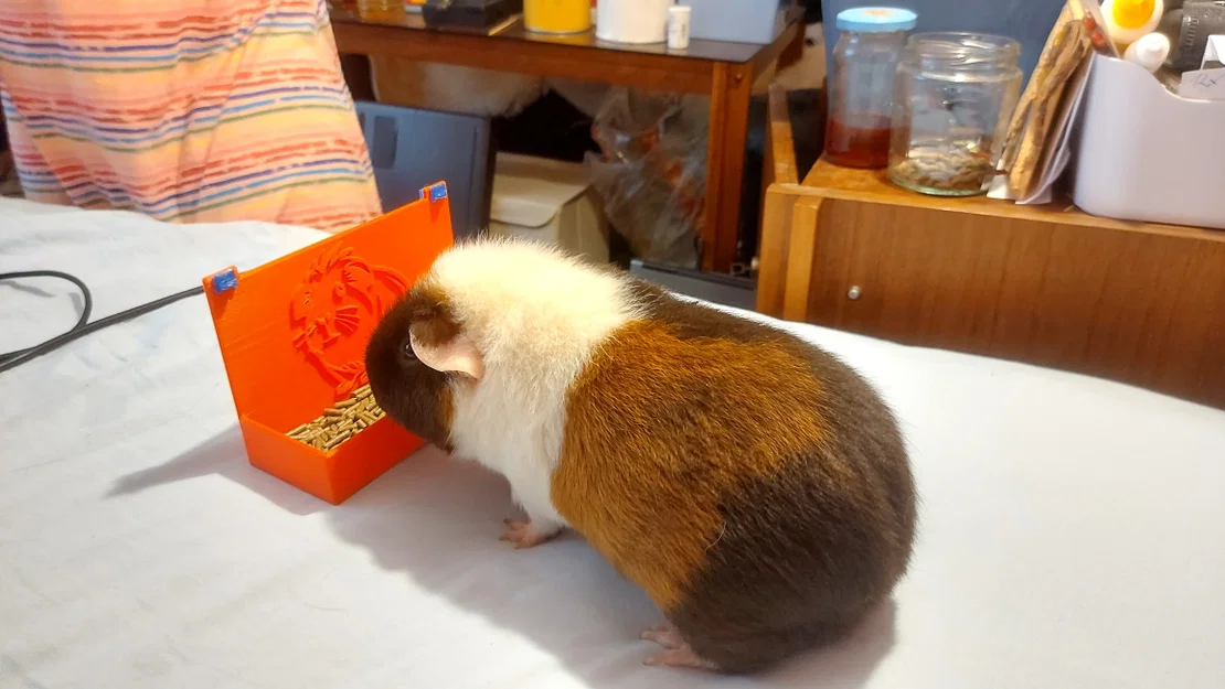 Máng ăn cho bọ ú (Guinea Pig Feeder) gắn chuồng in 3D - Image 2