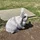 Supersaxi_160352
