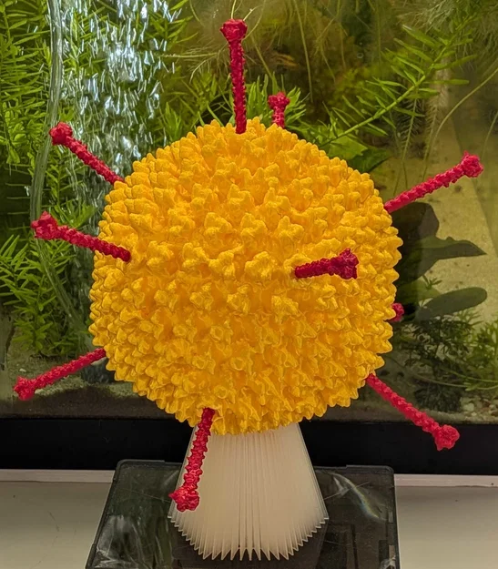 Adenovirus 5 -- Tác nhân gây cảm lạnh thông thường - Image 1