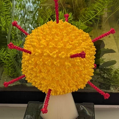 Adenovirus 5 -- Tác nhân gây cảm lạnh thông thường