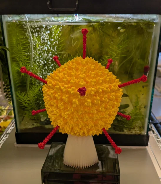 Adenovirus 5 -- Tác nhân gây cảm lạnh thông thường - Image 2
