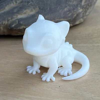 Chú Thằn Lằn Nhỏ Đáng Yêu