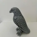 Đại bàng Voronoi Hùng vĩ - Mô hình in 3D chi tiết - Thumbnail 3