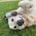 PaulD_699402