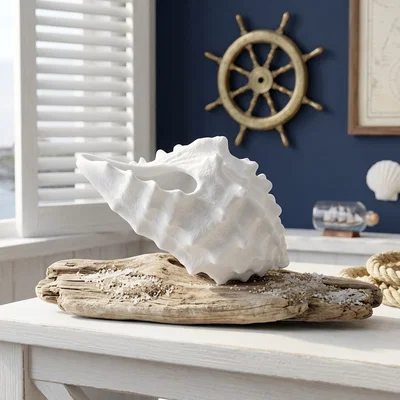 Decorative Seashell V10 – Vỏ Ốc Trang Trí Phong Cách Đại Dương