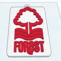 Mặt Dây Chuyền Fan Nottingham Forest F.C. Bản Lớn - Premier League - Thumbnail 3