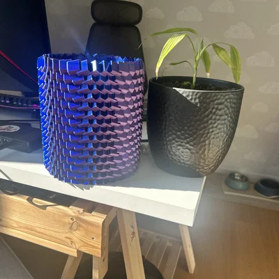 Chậu cây Cube Chaos Planter - Thiết kế hình học độc đáo