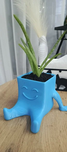Chậu cây 3D hình nhân vật vui vẻ đáng yêu cho bàn làm việc - Image 1