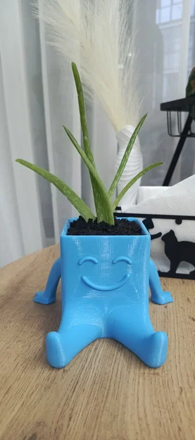 Chậu cây 3D hình nhân vật vui vẻ đáng yêu cho bàn làm việc - Image 2