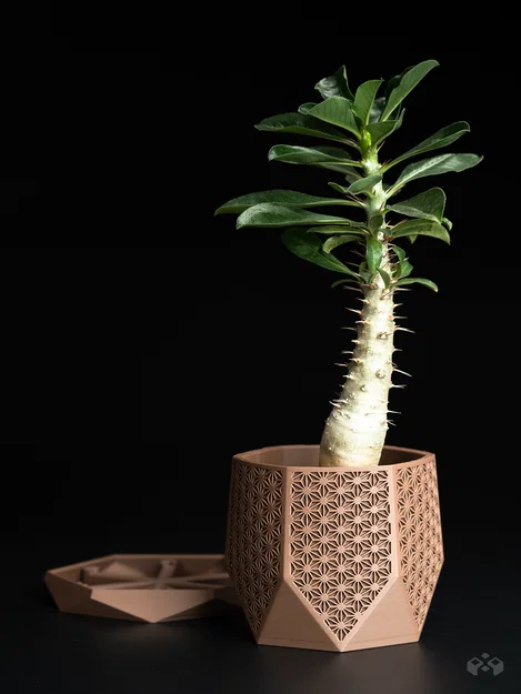 Chậu cây Monolith Hex Facet – Phiên bản Asanoha - Image 2