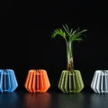 Vase nhân giống Radial Rosette – Dạng Kit Card 3D - Thumbnail 2