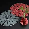 Vase nhân giống Radial Rosette – Dạng Kit Card 3D - Thumbnail 7