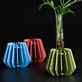Vase nhân giống Radial Rosette – Dạng Kit Card 3D - Thumbnail 8