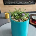 Chậu cây hình trụ đa giác (Faceted Cylinder Plant Pot) - Thumbnail 1