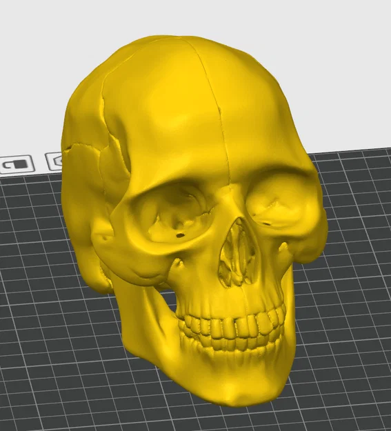 Mô hình hộp sọ người (Human Skull) tỉ lệ 1:1 in 3D cực chi tiết - Image 4