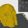 Mô hình hộp sọ người (Human Skull) tỉ lệ 1:1 in 3D cực chi tiết - Thumbnail 5