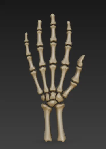 Mô hình bàn tay xương người (Skeleton hand) in 3D độc đáo - Image 1