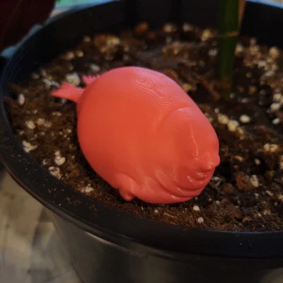 Chú hải cẩu béo ú Fat Seal