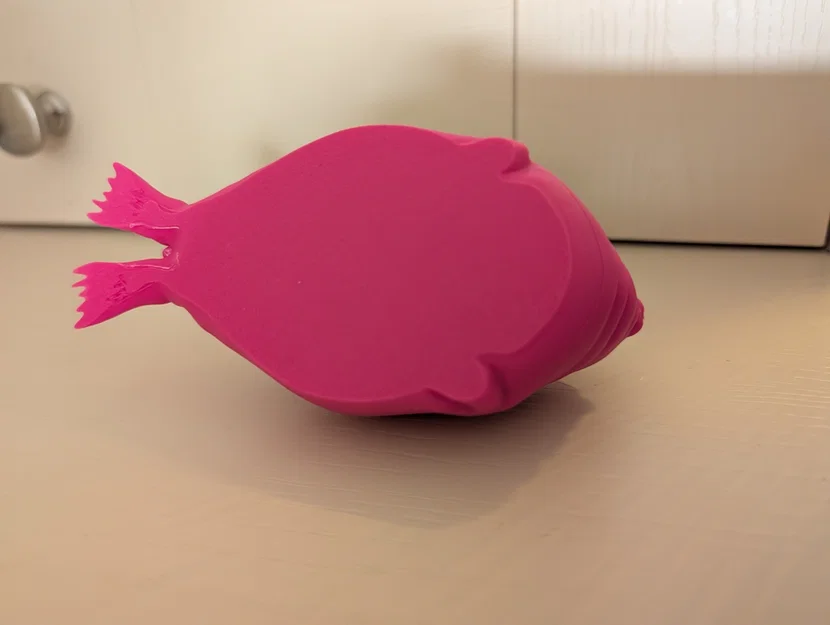 Hải cẩu béo - Bụng phẳng (Fat Seal - Flat Belly) - Image 2