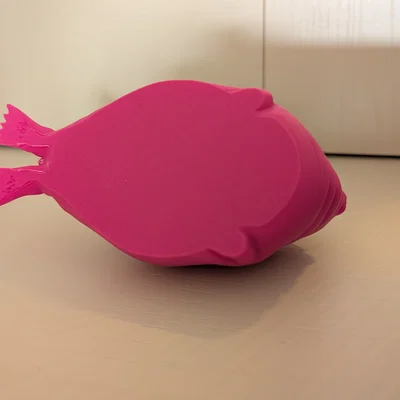 Hải cẩu béo - Bụng phẳng (Fat Seal - Flat Belly)