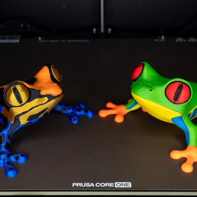 Mô hình ếch cây và ếch độc (Tree Frog & Poison Dart Frog) dành cho INDX