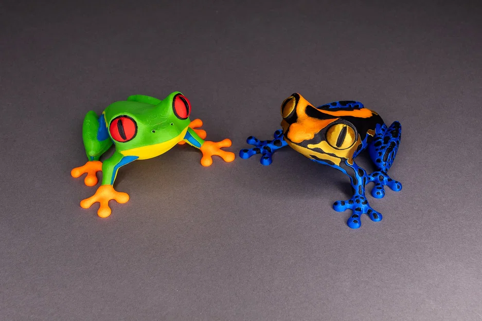 Mô hình ếch cây và ếch độc (Tree Frog & Poison Dart Frog) dành cho INDX - Image 2