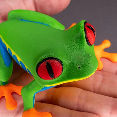Mô hình ếch cây và ếch độc (Tree Frog & Poison Dart Frog) dành cho INDX