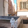 Bear/Bär #4 - Mô hình Gấu WildRock trang trí cực chất - Thumbnail 5