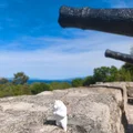 Bear/Bär #4 - Mô hình Gấu WildRock trang trí cực chất - Thumbnail 6