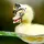 Satims_3123339