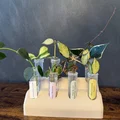 Giá đỡ ống nhân giống cây cảnh in 3D (Plant Propagation Stand) - Thumbnail 1