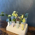 Giá đỡ ống nhân giống cây cảnh in 3D (Plant Propagation Stand) - Thumbnail 2