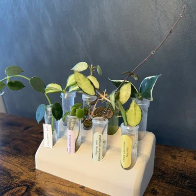 Giá đỡ ống nhân giống cây cảnh in 3D (Plant Propagation Stand)