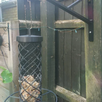 Móc treo khay thức ăn cho chim bền chắc (Bird Feeder Hook)