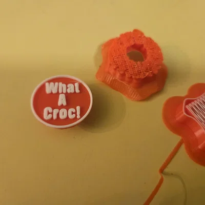 Phụ kiện trang trí dép Jibbitz "What A Croc!" in 3D cực chất