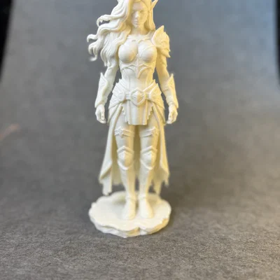 Nữ Elf Chiến Binh (Warrior female Elf)