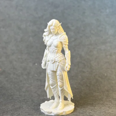 Nữ Elf Chiến Binh (Warrior female Elf)
