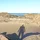 axellarcos_458491