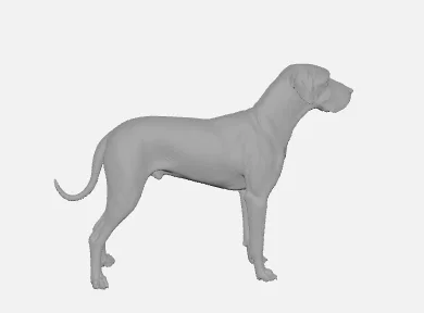 Mô hình chú chó Great Dane 3D chi tiết cực đẹp để in 3D - Image 2