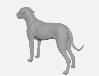 Mô hình chú chó Great Dane 3D chi tiết cực đẹp để in 3D - Image 4